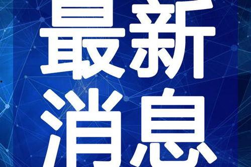 爆料时间停车视频大全最新,停车视频大全,一网打尽停车瞬间精彩瞬间